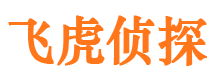 宁武侦探公司